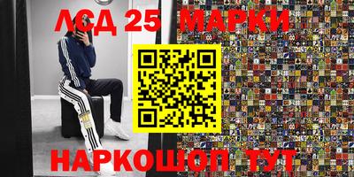 индика Кунгур
