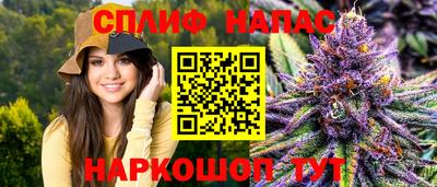 индика Кунгур